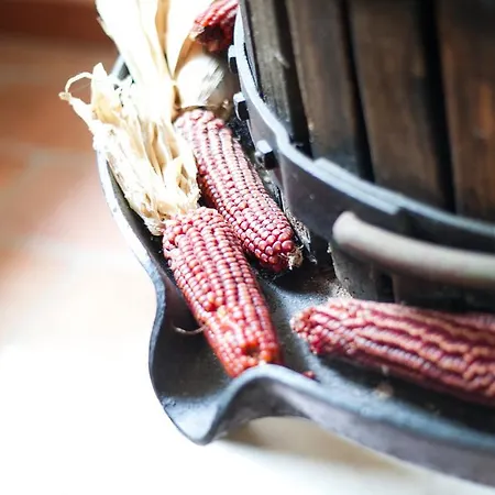 Agriturismo Principe Pio Gospodarstwo agroturystyczne Crespino